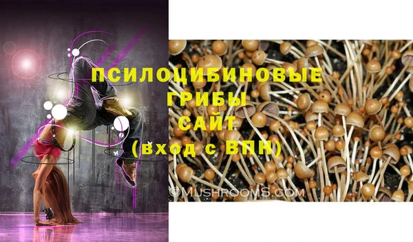 тгк Воткинск
