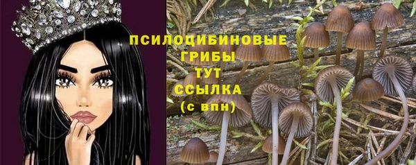 ешки Семёнов